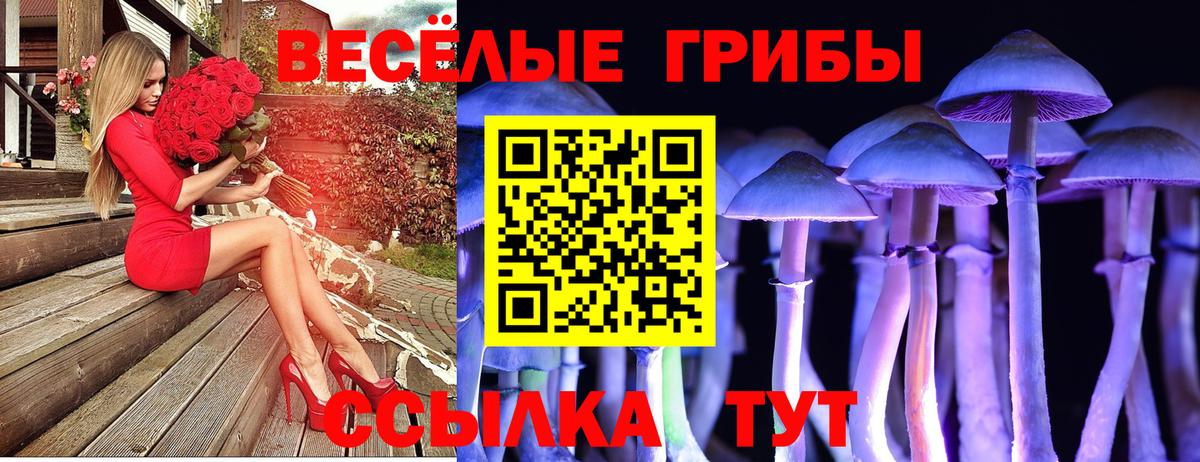 Псилоцибиновые грибы Magic Shrooms Качканар