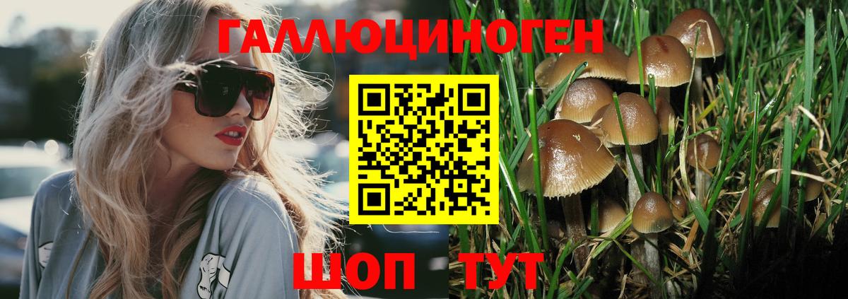 Псилоцибиновые грибы ЛСД  Вход с VPN  Качканар 